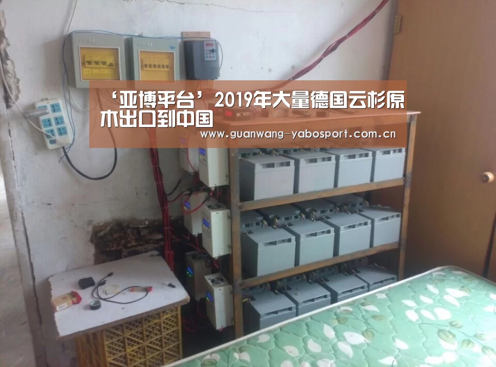 ‘亚博平台’2019年大量德国云杉原木出口到中国(图3) 亚博网站