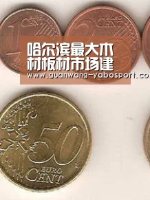 哈尔滨最大木材板材市场建成‘亚博平台’(图1) 亚博平台