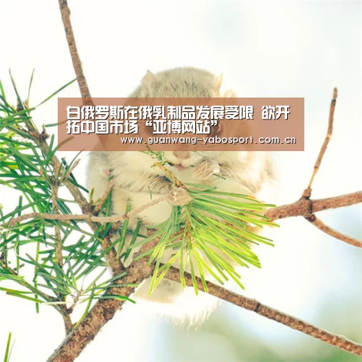 白俄罗斯在俄乳制品发展受限 欲开拓中国市场“亚博网站”