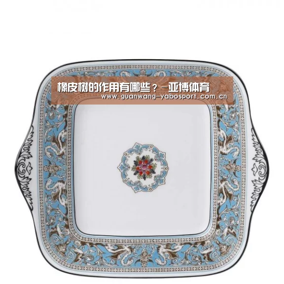 橡皮树的作用有哪些?-亚博体育(图2) 亚博网站