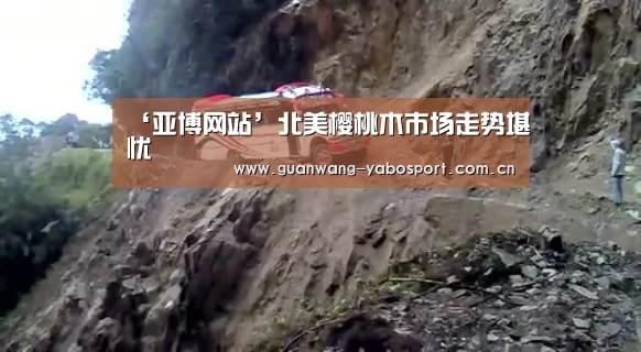 ‘亚博网站’北美樱桃木市场走势堪忧(图1) 亚博体育