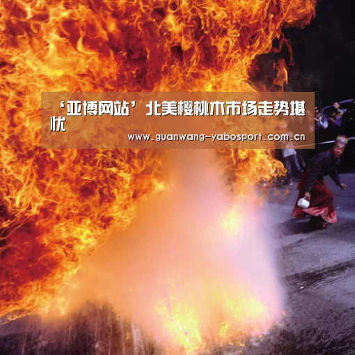 ‘亚博网站’北美樱桃木市场走势堪忧(图2) 亚博网站