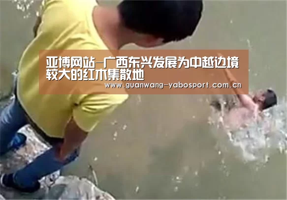 亚博网站-广西东兴发展为中越边境较大的红木集散地(图2) 亚博网站