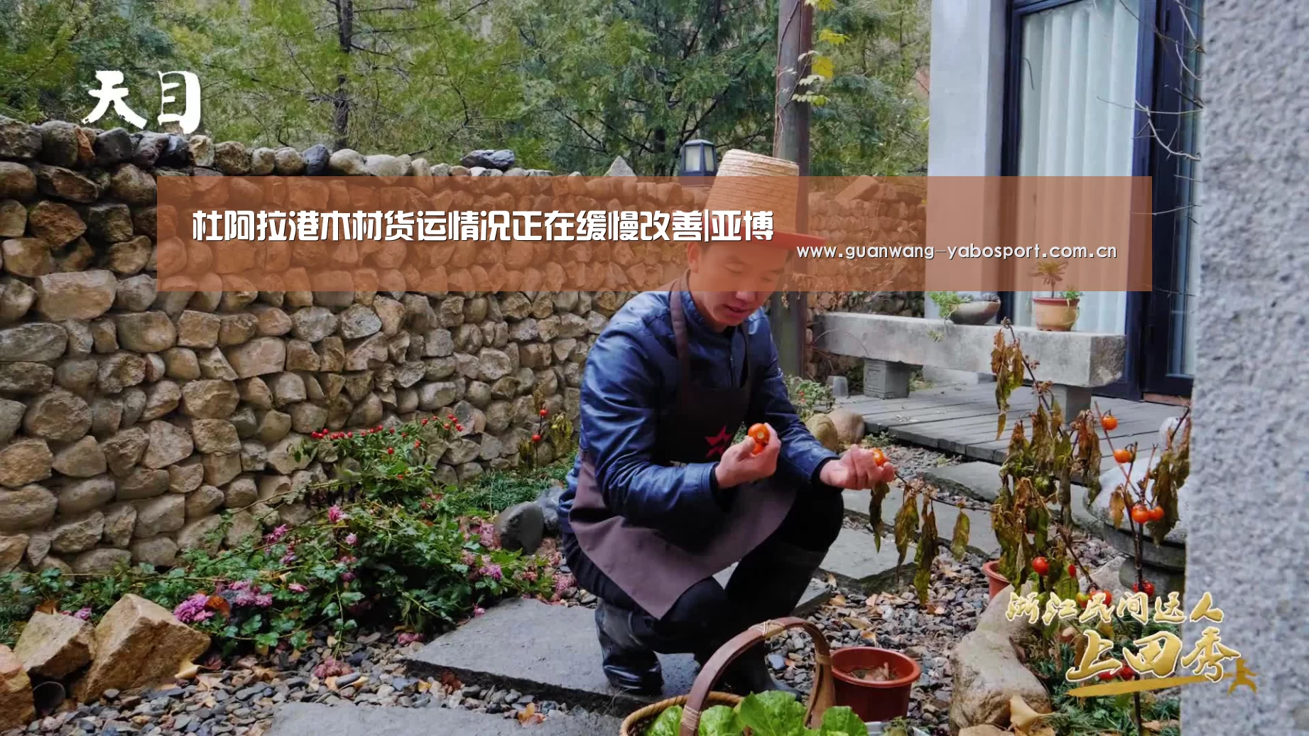 亚博体育